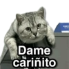 Dame cariñito #ED27 PAG MAY