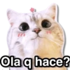 Ola q hace?