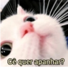 ➳ gato ⊱😽⊱╮
bit.ly/angels-69 16