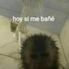 hoy si me bañé