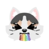 Pack de gatita graciosa 2 8
