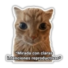 🗣️ Memes Variados 🗣️ 12