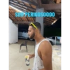 Burro 26