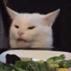 Cat meme funny 16