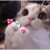 REAÇÕES DE AMOR 😍  13