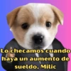 Lo checamos cuando haya un aumento de sueldo, Milic