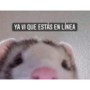 Para contestar 6