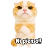 Frases de gatito #2🐱💬 13