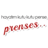 hayatım kutu kutu pense renses..