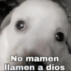 No mamen llamen a dios