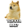 YEH KYA HAI?