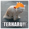 *TERHARU!!*