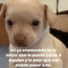 ber mi yo enamorado es lo mejor que le puede pasar a alguien y lo peor que me puede pasar a mi.