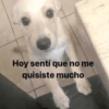 Hoy sentí que no me quisiste mucho