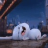 Bunny kelinci 8