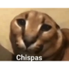 Chispas