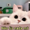 ➳ gato ⊱😽⊱╮
bit.ly/angels-69 8