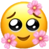 Brilho floral