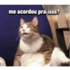 Bom dia/tarde/noite engraçado 7