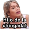 Hijo de la chingada!