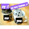 Fer_gie 11