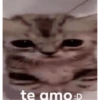 Animales pedorros 13