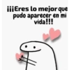 Flork graciosos ✨ 12