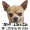 TU SABES DE ESO NO TE HAGAS LA LOCA