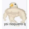 ysi noquiero q