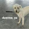 duerme, ya