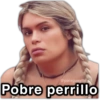 Pobre perrillo