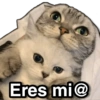 Eres mi@