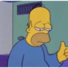 Simpsons reações 14