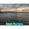Good Morning 7