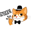 NTAP!
