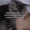 Quotes random 5 21