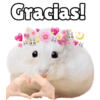 Gracias!
