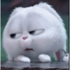 Bunny kelinci 2