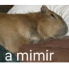 Hora de Dormir