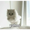 yahoo