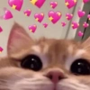 💕💖 AMOR • LOVE 💖💕 22