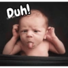 Duh!