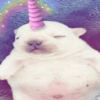 Perro Pibble Meme 🐾 15