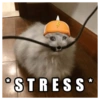 ©STRESS⭑