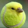 Tennis Chick