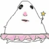 🐹 Hamster Tiktok 4📱 15