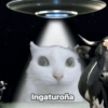 Animales pedorros 19