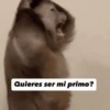 Quieres ser mi primo?