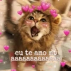Te amo 14