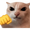Gatitos para el chat 🫪 16
